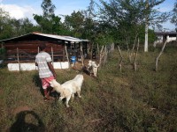 /album/plantel-po/a20131209-155731-jpg/