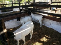 /album/plantel-po/a20131209-155838-jpg/