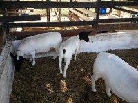 /album/plantel-po/a20131209-155852-jpg/