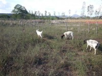 /album/plantel-po/a20131209-160344-jpg/