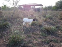 /album/plantel-po/a20131209-160423-jpg/