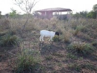 /album/plantel-po/a20131209-160425-jpg/