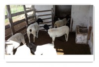 /album/plantel-po/a20140305-083800-jpg/