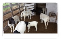 /album/plantel-po/a20140305-083830-jpg/